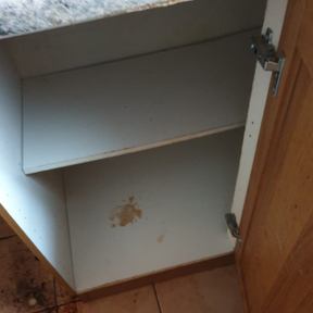 Pre Build Cleaning Port Isaac